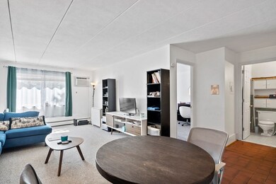 27 Homer Ave unit 25, Cambridge, MA 02138 - photo 7