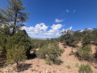 0 Lot 23 Tee Pee Ranch unit 1090346, Datil, NM 87821 - photo 2