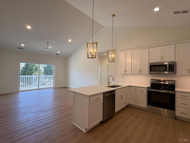 420 Capstone Dr unit 301, Lynchburg, VA 24502 - photo 5