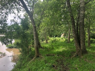 3103 County Road 310, Brazoria, TX 77422 - photo 3