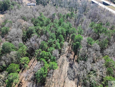 TBD Old Blackman Ferry Rd, Texarkana, AR 71854 - photo 4