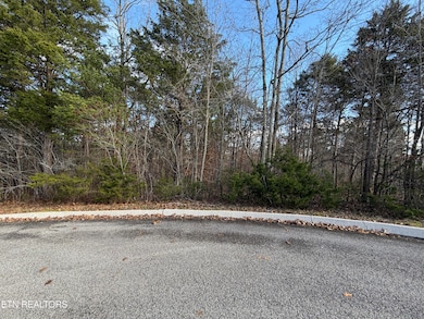 0 Divot Place unit 1323315, Tazewell, TN 37879 - photo 4