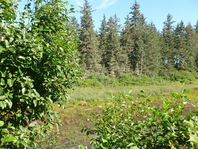 Private setting backed by pond/wetlands