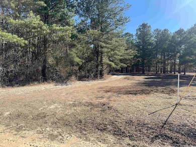 tbd Copeland Moody Rd, Marion, SC 29571 - photo 7