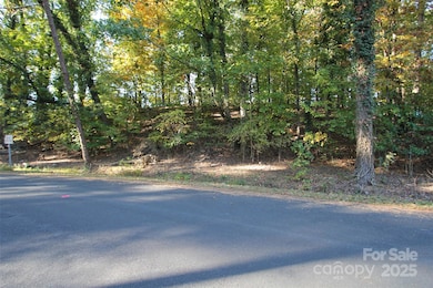 TBD Lake Head Rd, Norwood, NC 28128 - photo 3