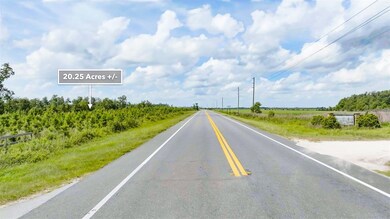 0 Sr 71 S unit MFRT3538966, Wewahitchka, FL 32449 - photo 4