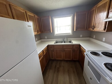 382 W Monticello Pike, Huntsville, TN 37756 - photo 3