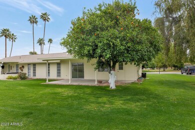 9918 W Highwood Ln, Sun City, AZ 85373 - photo 3