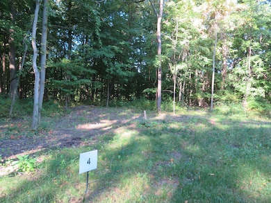 8735 Rainbows End Ct SE unit Parcel 4, Caledonia Township, MI 49316 - photo 4