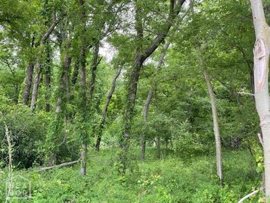 73 Highway 228, Bono, AR 72416 - photo 6