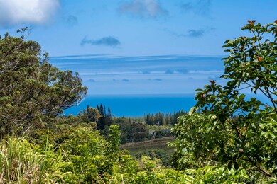 57 Awalau Rd unit A, Haiku, HI 96708 - photo 4