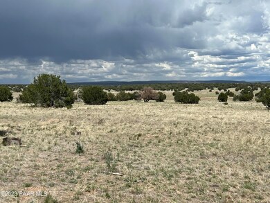 13b Antelope Run Rd, Ash Fork, AZ 86320 - photo 6