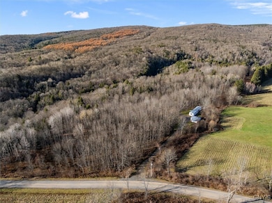 9036 Dole Rd, Remsen, NY 13438 - photo 3