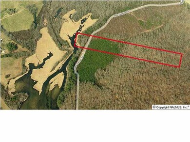 2640 White Elephant Rd, Grant, AL 35747 - photo 4