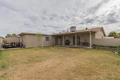 3 large backyard