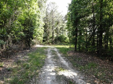 TBD D & G Ln, Whigham, GA 39892 - photo 6