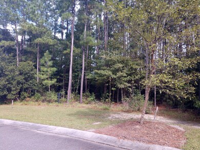 MLS 06 IMG_20181018_144459870