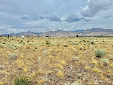 26 Old Riverside A Hwy, Omak, WA 98841 - photo 4