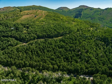 5146 N Pine Canyon Rd, Midway, UT 84060 - photo 7