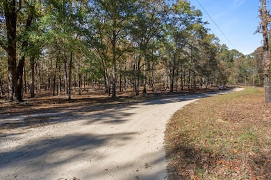 Lot 15 & 16 Hidden Lagoon Estates, Fort Gaines, GA 39851 - photo 7