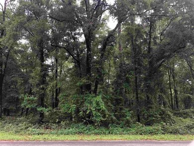 xx Purify Bay Rd, Crawfordville, FL 32327 - photo 2