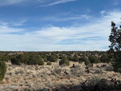 Lot 4 Ranch of the White Mountains, Concho, AZ 85924 - photo 2