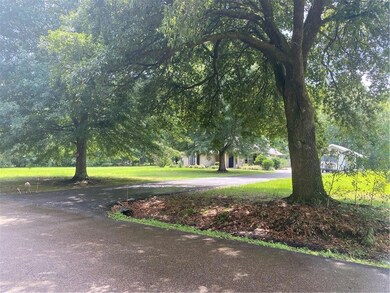 49075 Tin Can Aly, Tickfaw, LA 70466 - photo 2