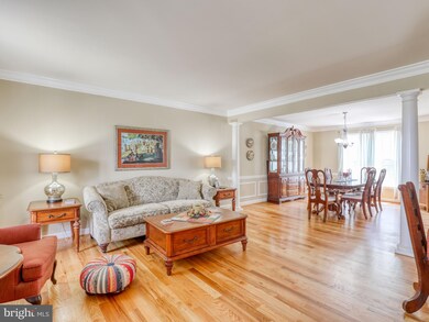 117 Latigo Ct, Stephens City, VA 22655 - photo 7