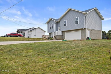 156 Milk Thistle Way, Fall Branch, TN 37656 - photo 6