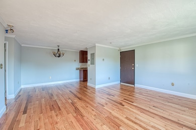 47 Juniper Rd unit F9, North Attleboro, MA 02760 - photo 4