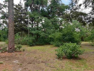 0 Brown Blvd, Crawfordville, FL 32327 - photo 7