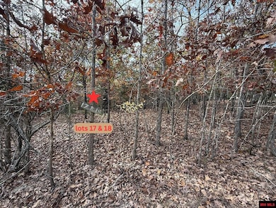 002-11055-016 Buckhead Ln, Mountain Home, AR 72653 - photo 3