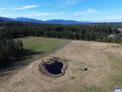 358 Daisey King Rd, Sequim, WA 98382 - photo 7