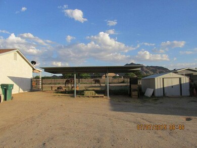 IMG_0485[1]