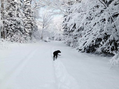 136 Sodom Rd, Center Tuftonboro, NH 03816 - photo 6