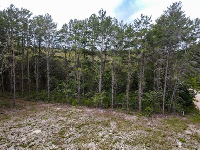 0 Sea Eagle Dr, Perry, FL 32348 - photo 5