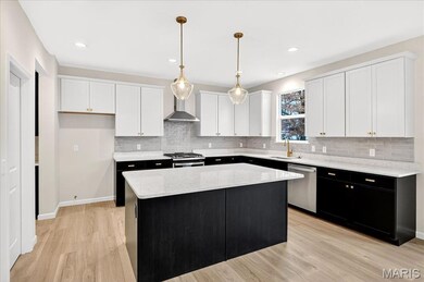 210 Randlin Dr, O Fallon, MO 63367 - photo 5