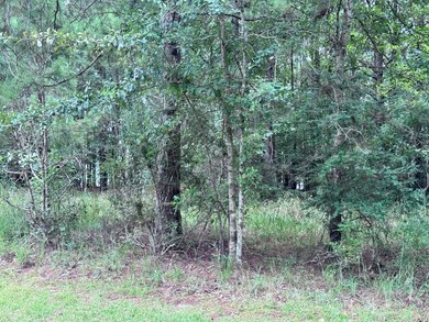 204 Ella Point, Lumberton, MS 39455 - photo 7