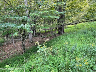 1 Pennsylvania 29, Shavertown, PA 18708 - photo 5