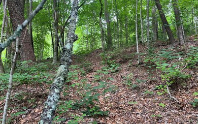 Additional View