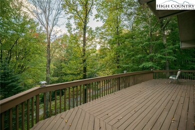 564 Grandfather Farms Rd, Banner Elk, NC 28604 - photo 4
