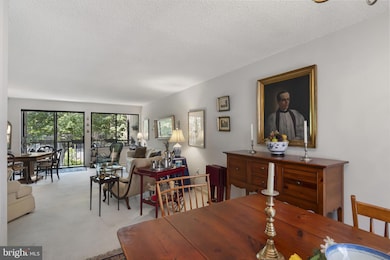 228 Canal Park Dr unit G106, Salisbury, MD 21804 - photo 4