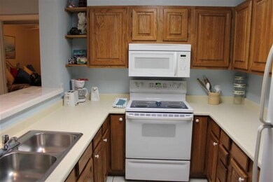 La Mirage Beachfront Condominiums unit 203, Port Aransas, TX 78373 - photo 3