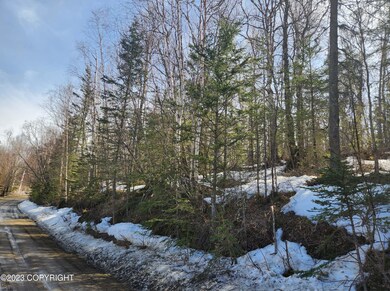 Pic of 4.3 acres Palmer
