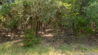 24730 Breeze Oak Ln, Cross Mountain, TX 78255 - photo 6