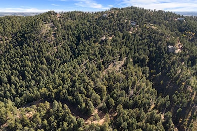 13126 Andiron Way, Larkspur, CO 80118 - photo 4