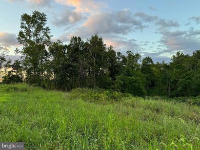 0 Mountain Ridge Way unit VACU2008546, Culpeper, VA 22701 - photo 4