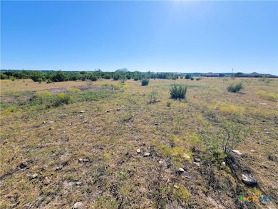 0000 County Road 3300, Kempner, TX 76539 - photo 5