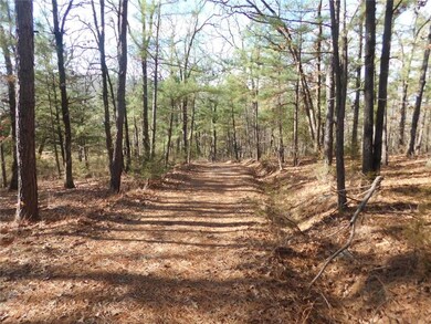 14128 Parker Branch Rd, West Fork, AR 72774 - photo 6