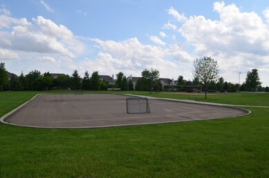 26519 Rustling Birch Way, Plainfield, IL 60585 - photo 4